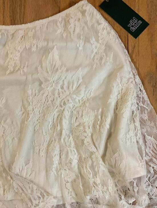 Wild Fable Creamed LIned Floral Pleated Lace Mini Skirt Size Small - Picture 2 of 4